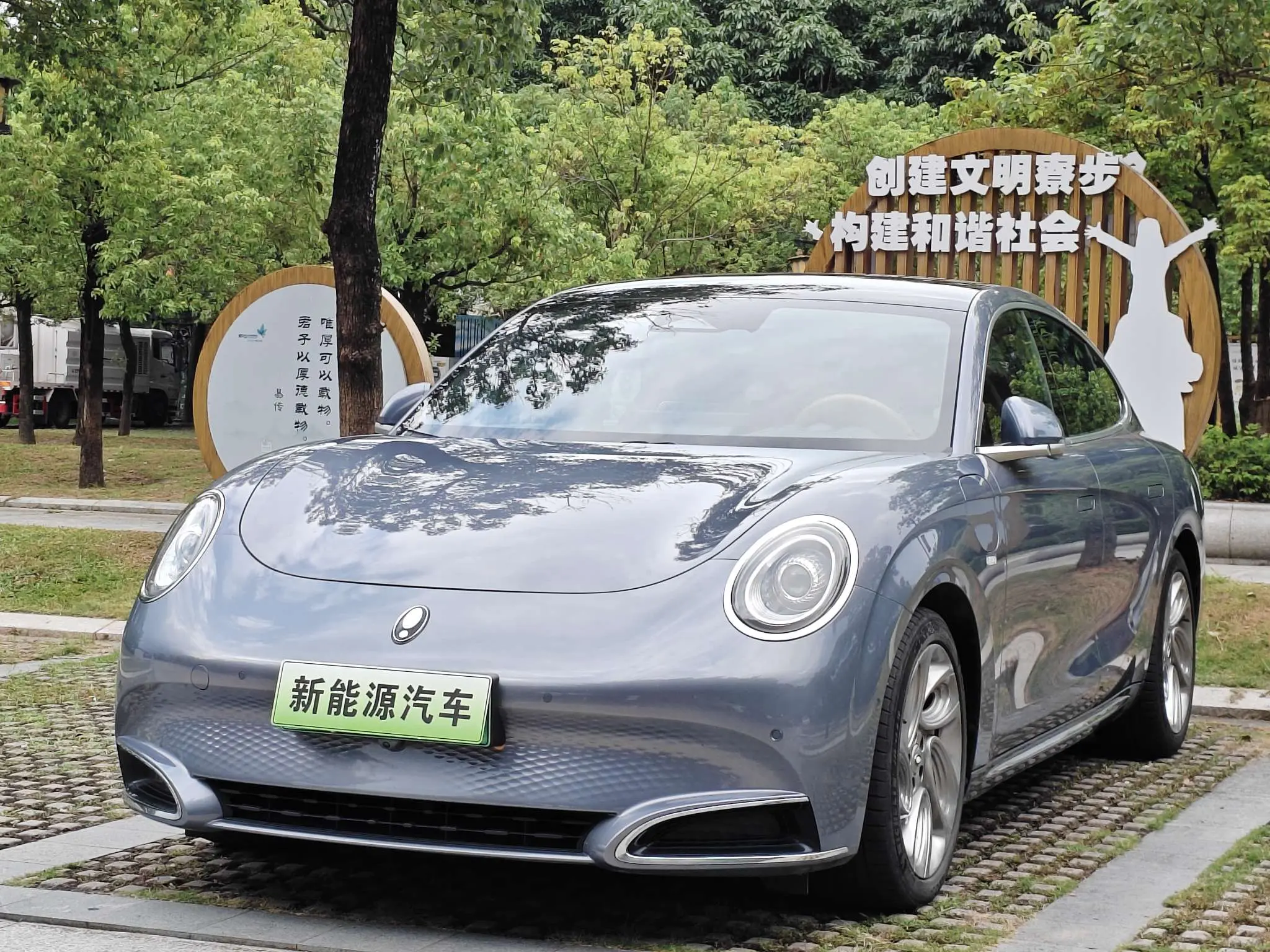 ORA Euler lightning cat