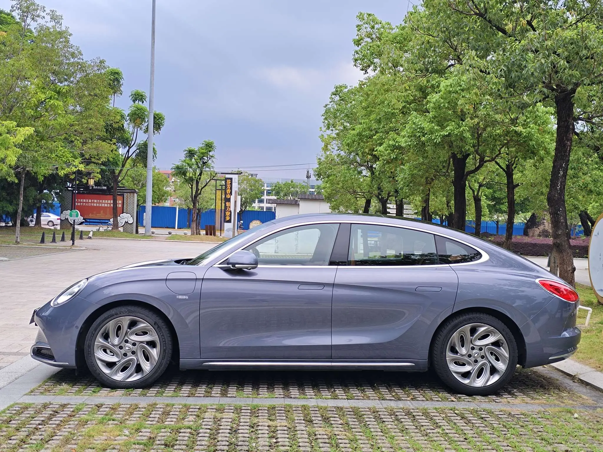 ORA Euler lightning cat