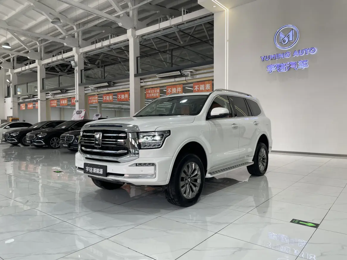 Tank 500 Hi4-Z  из Китая