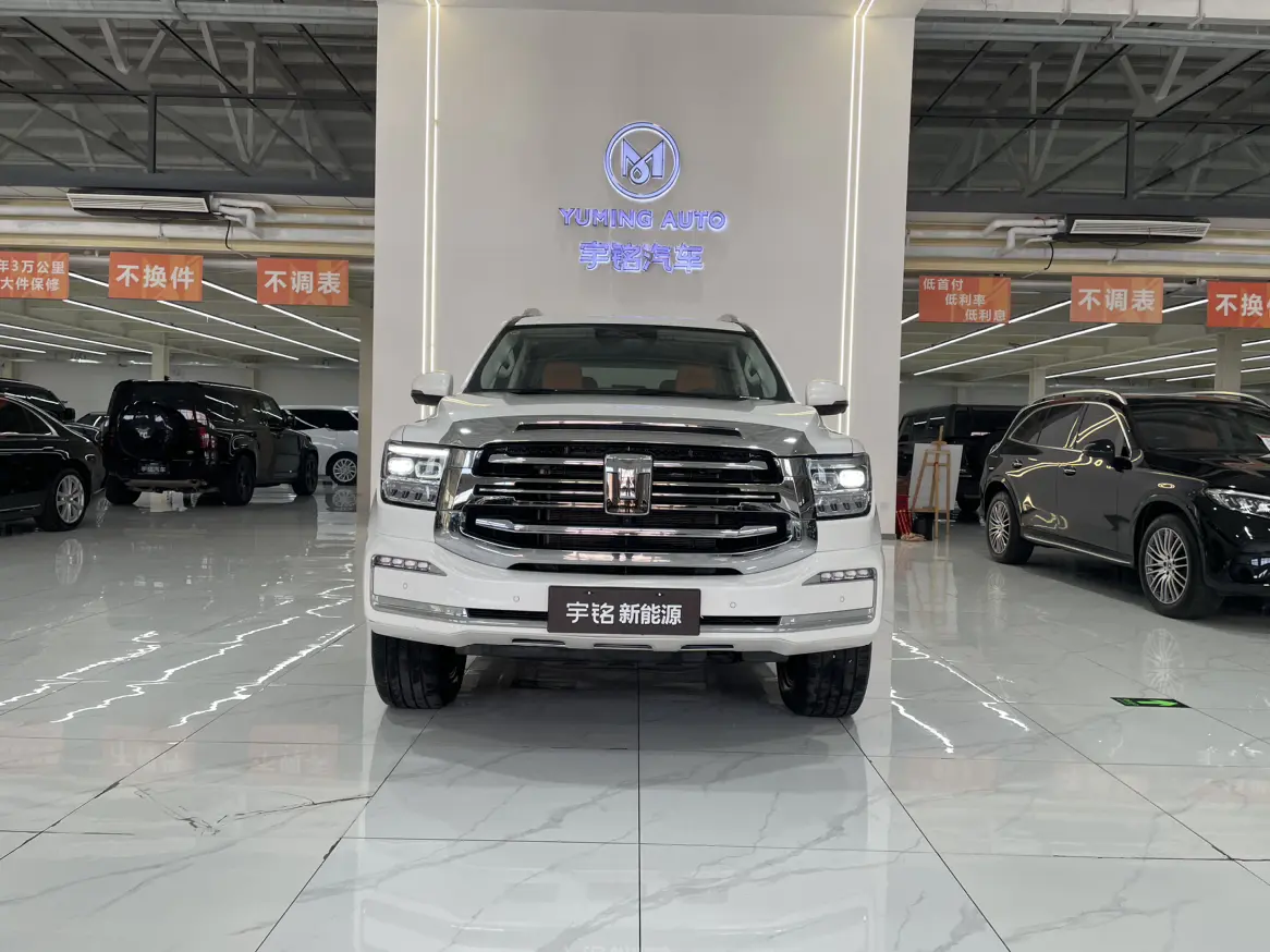 Tank 500 Hi4-Z  из Китая