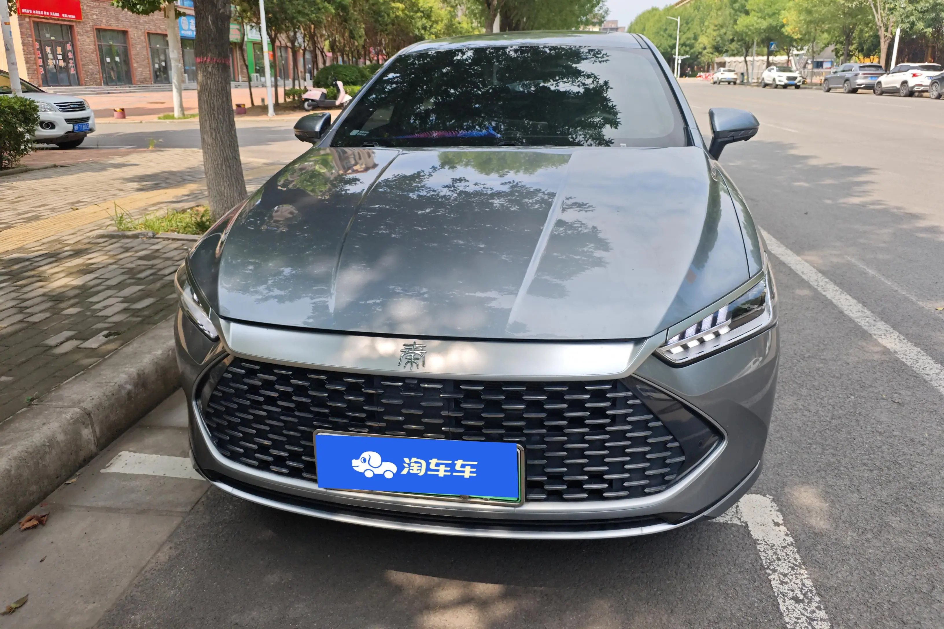 BYD Qin PLUS DM