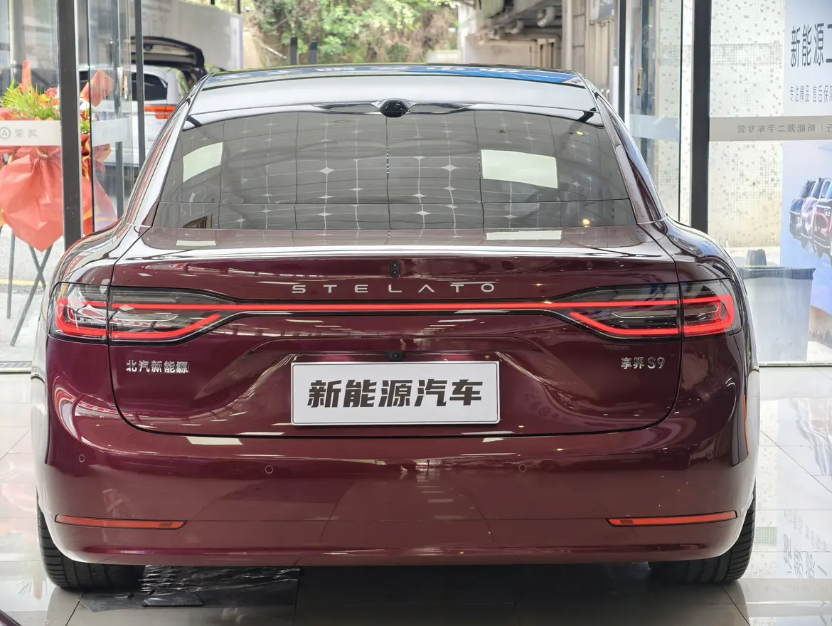 Enjoy the world Enjoy S9