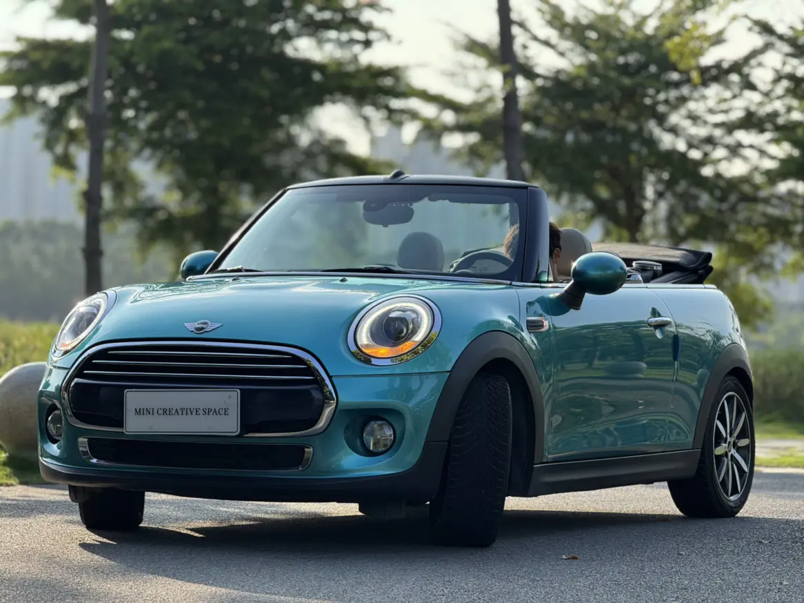 MINI MINI
