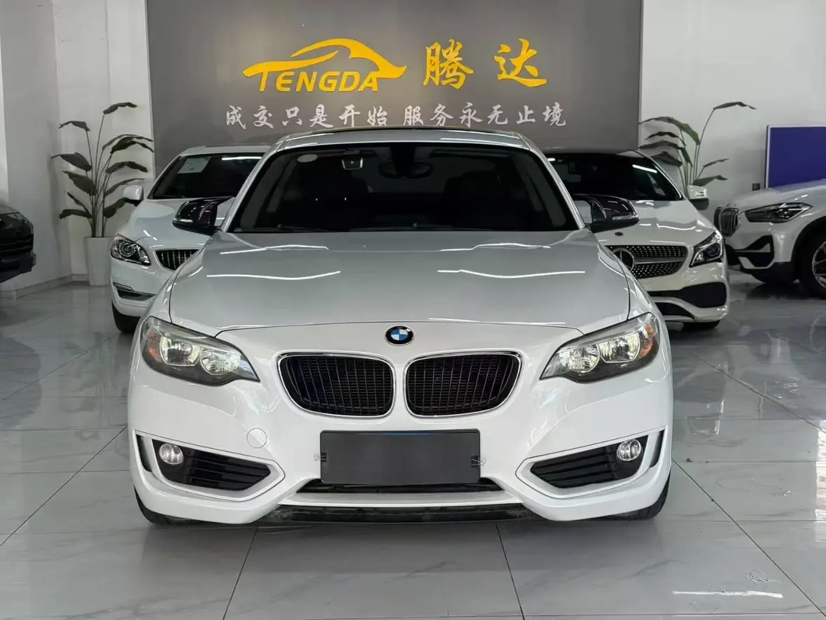 BMW 2 Series (Imported)