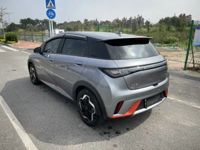 BYD dolphin