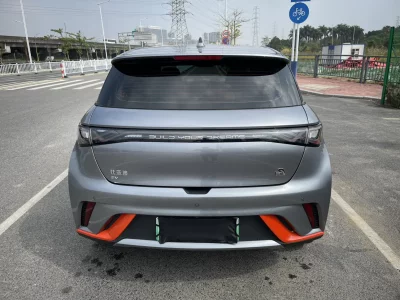 BYD dolphin