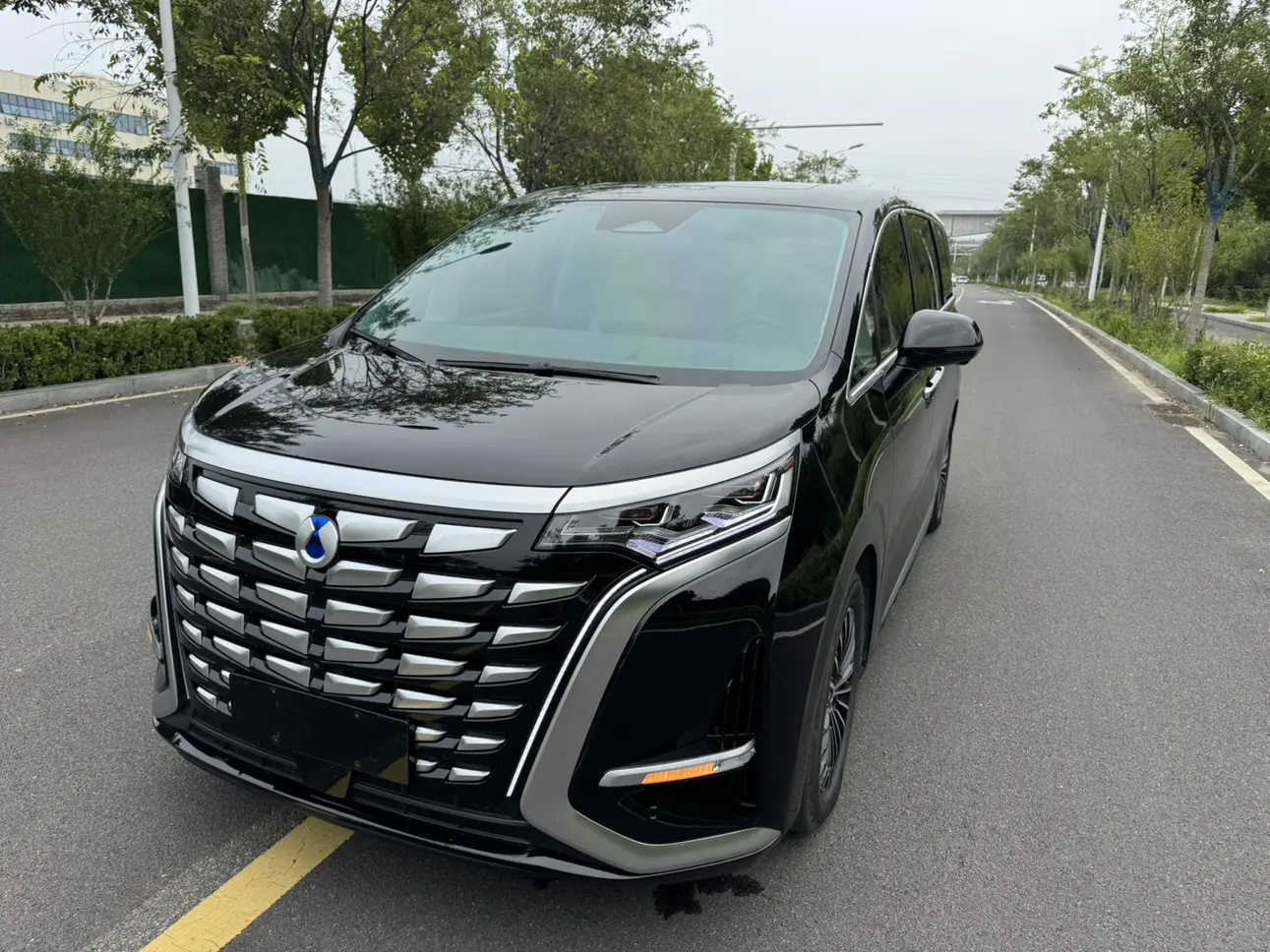 Denza D9 DM  из Китая