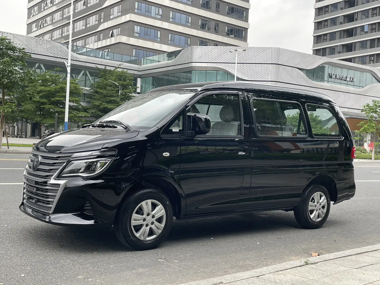 Forthing Lingzhi  из Китая