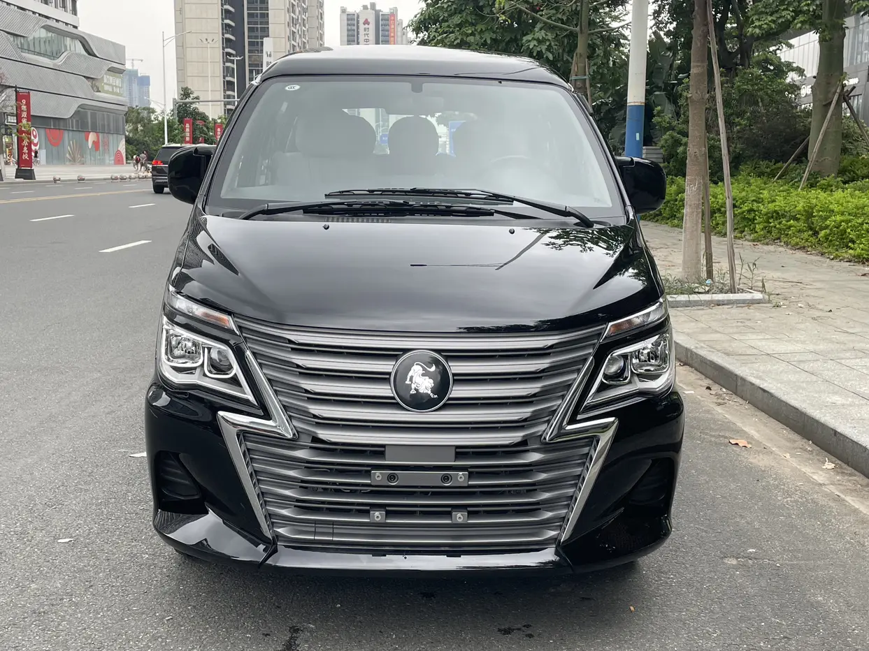 Forthing Lingzhi  из Китая