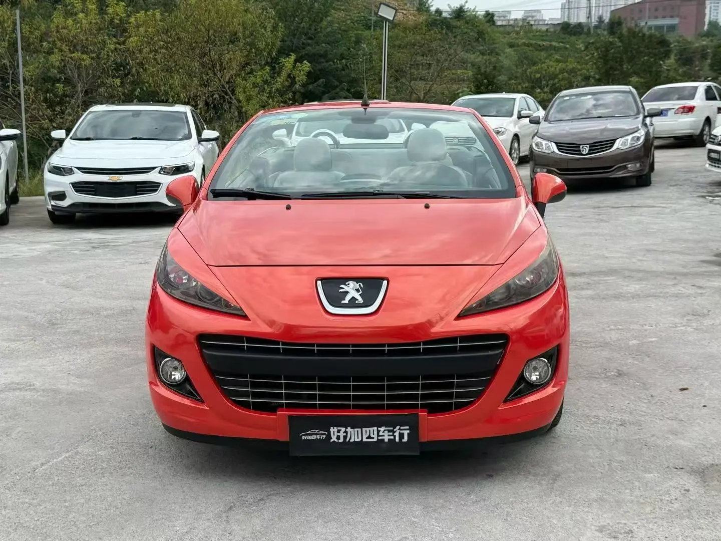 Peugeot 207 (imported)