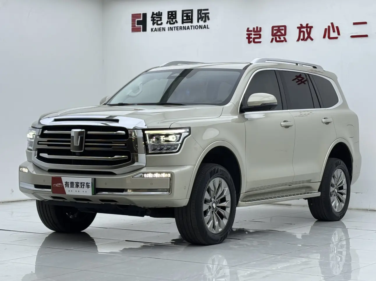 Tank 500 Hi4-Z  из Китая