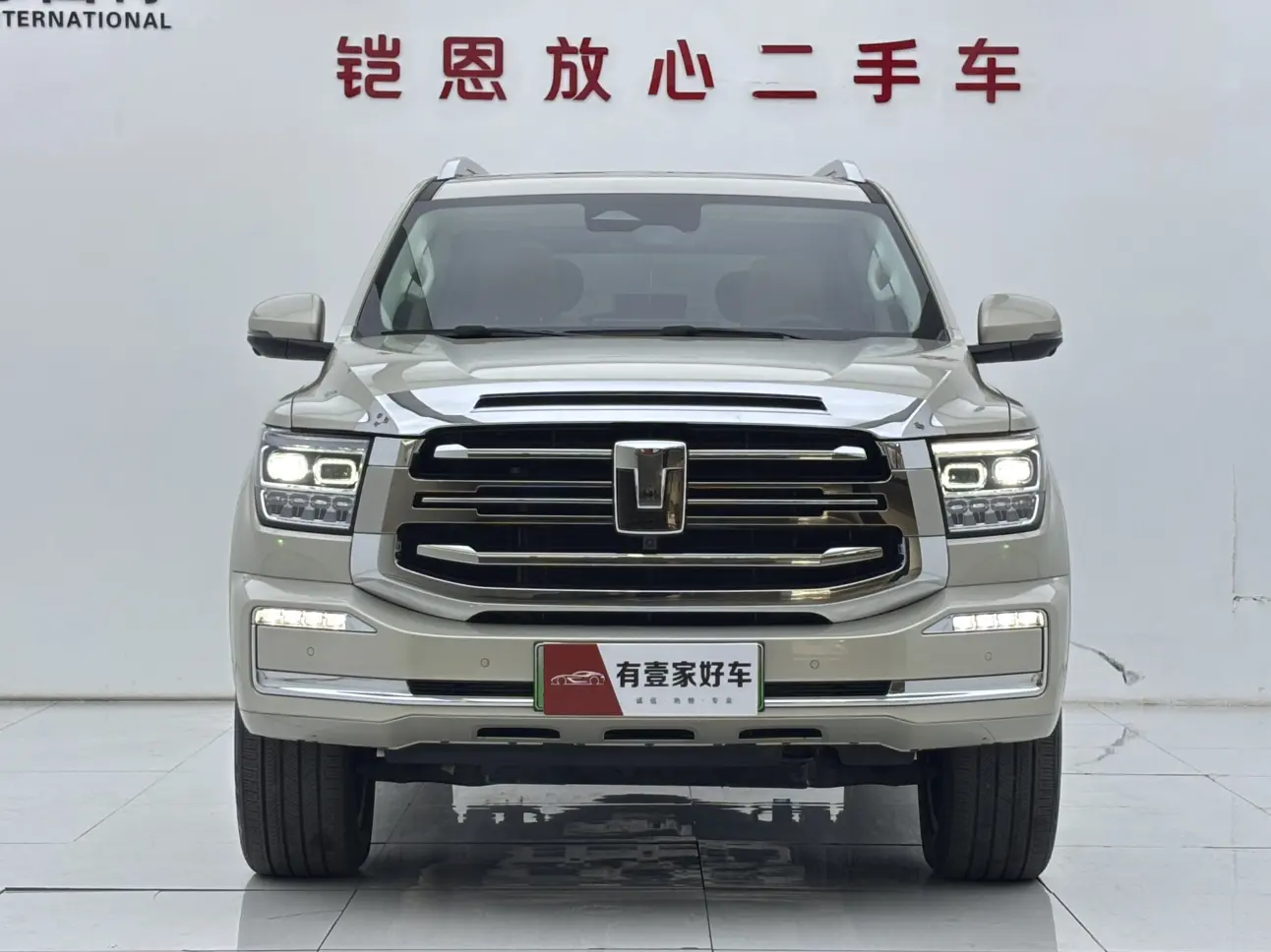 Tank 500 Hi4-Z  из Китая