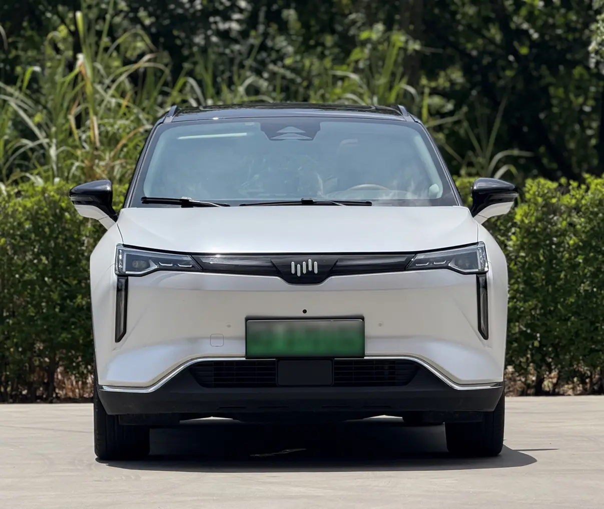 Weltmeister Weimar W6