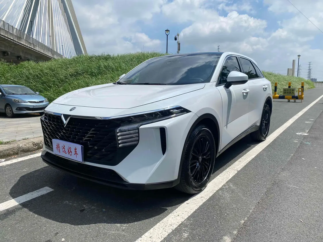 Kai Chen Venucia Big V