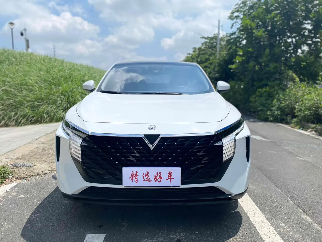 Kai Chen Venucia Big V