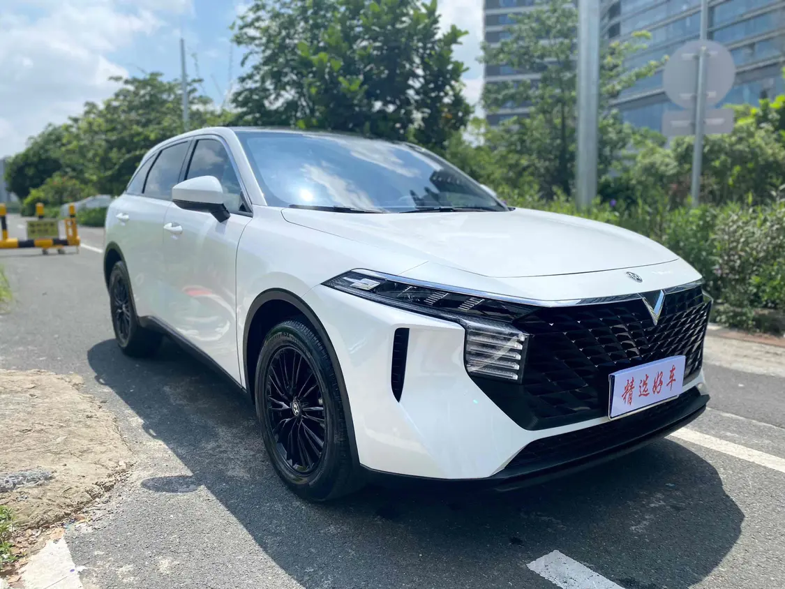 Kai Chen Venucia Big V