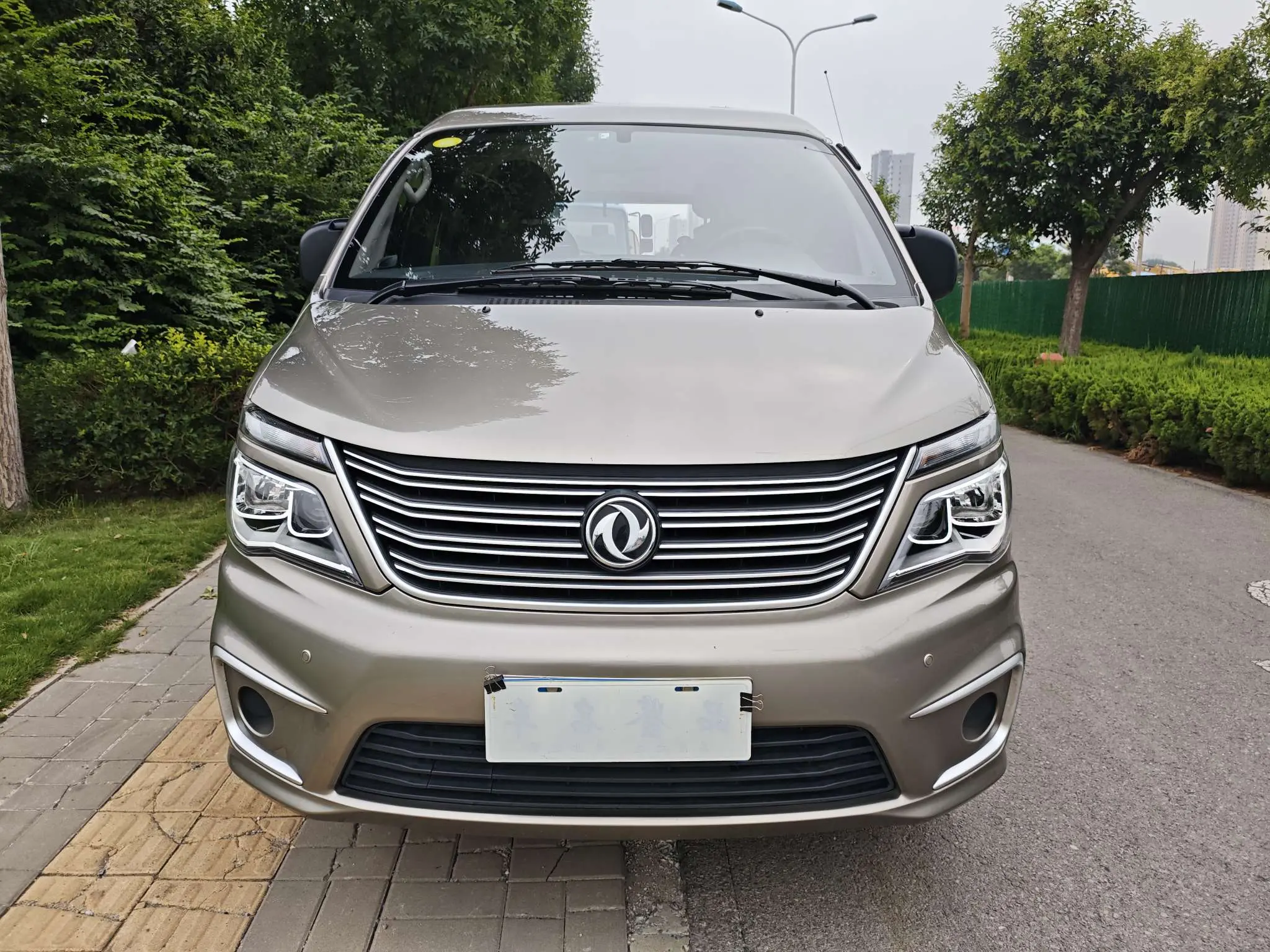 Forthing Lingzhi  из Китая