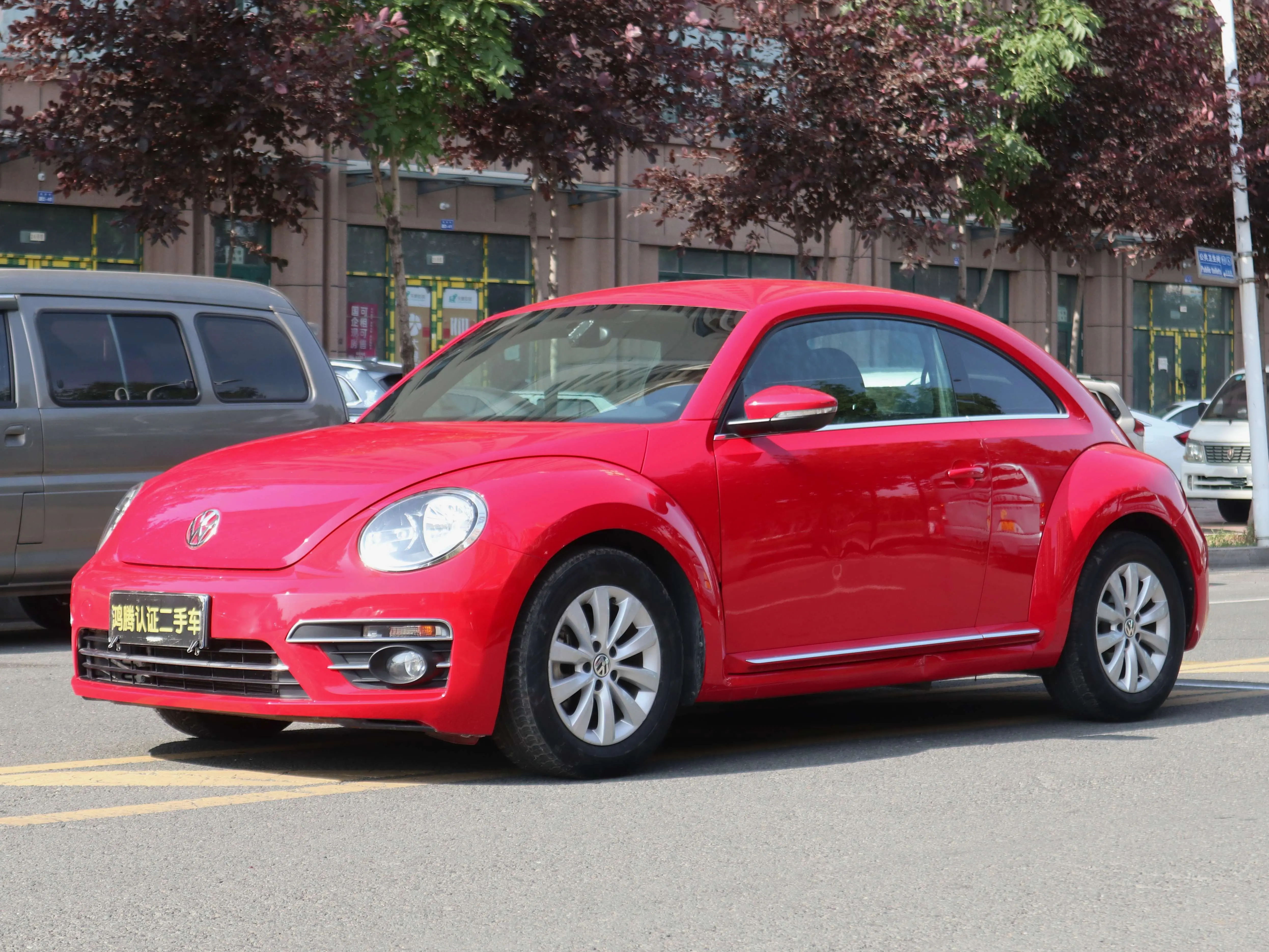 Volkswagen Beetle