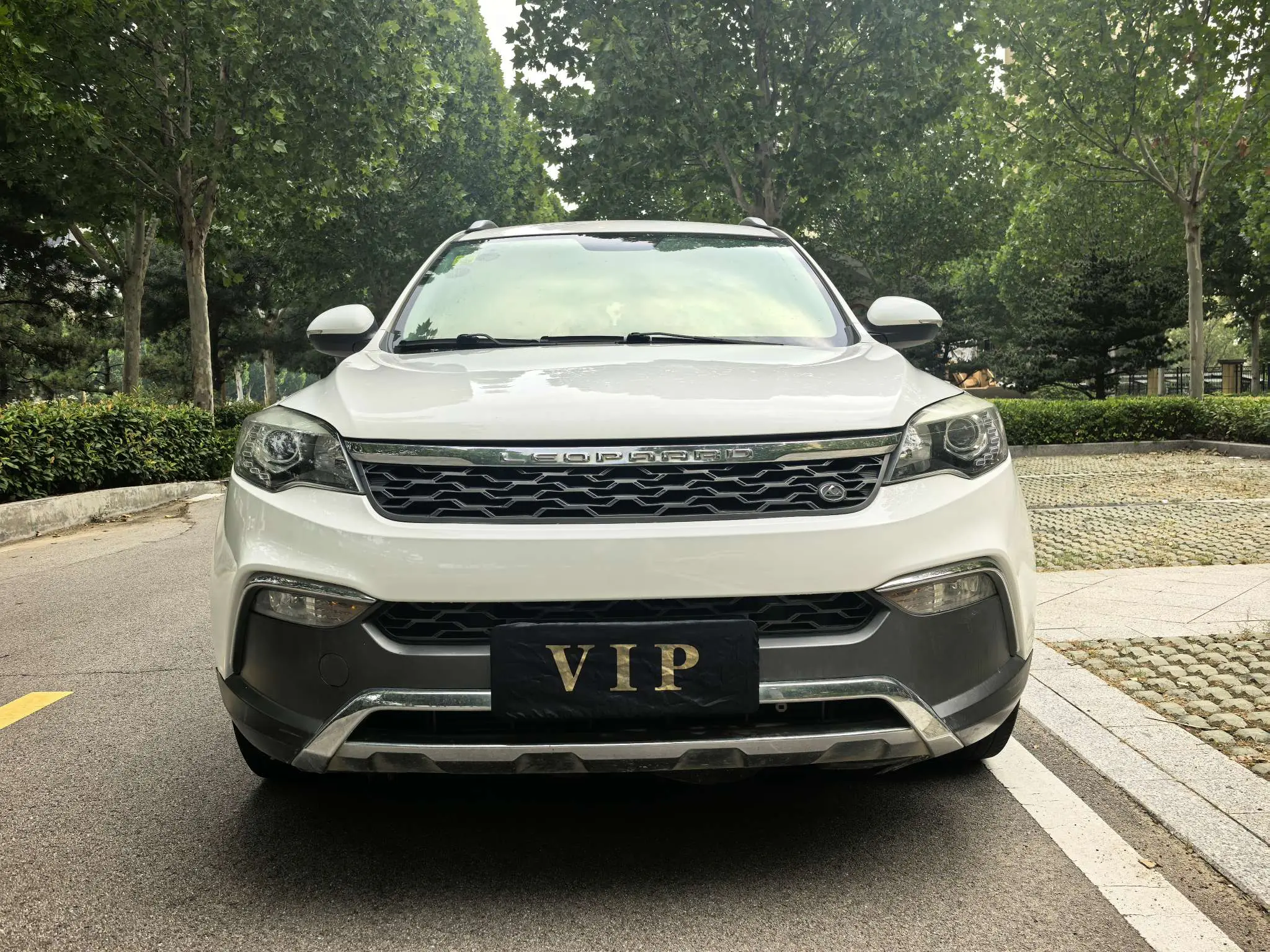 Cheetah cars Cheetah CS10