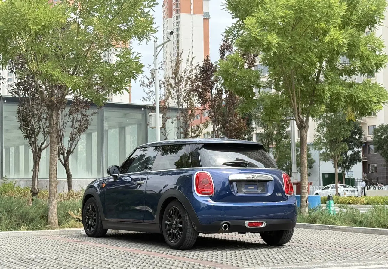 MINI MINI