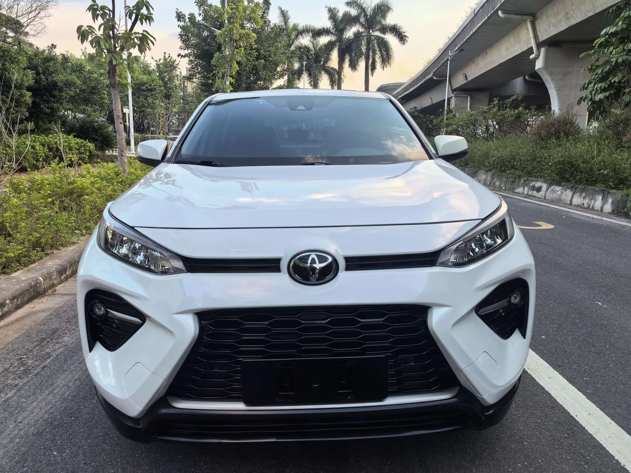Toyota Willanda