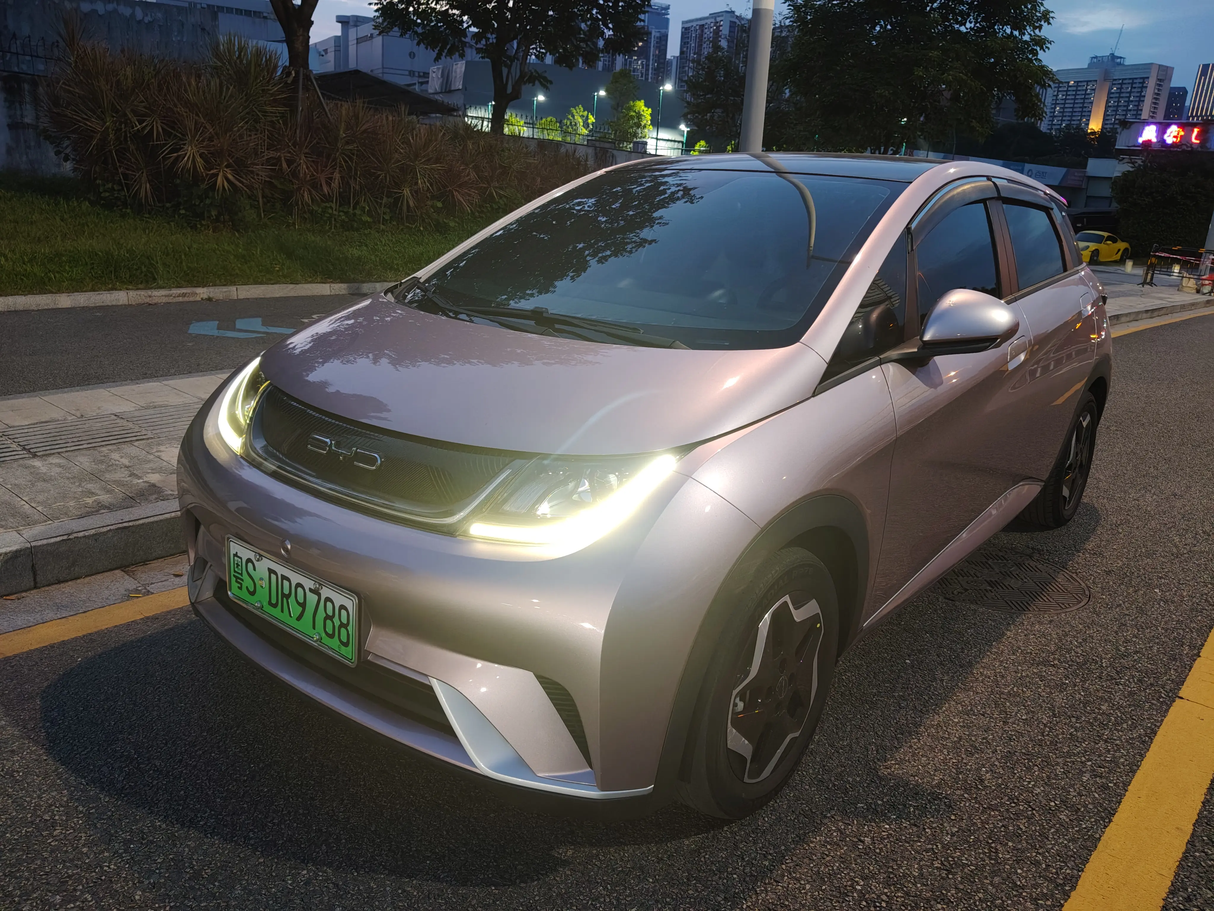 BYD Dolphin  из Китая