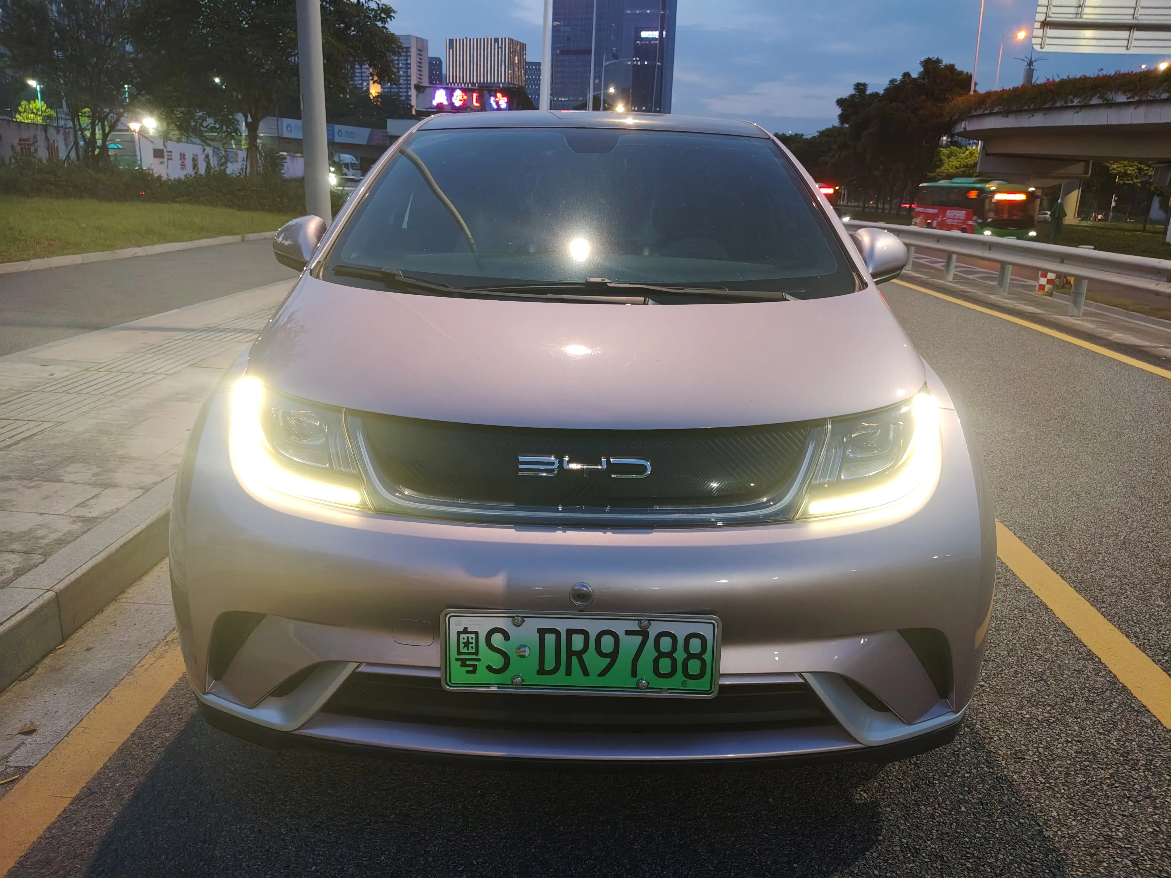 BYD Dolphin  из Китая
