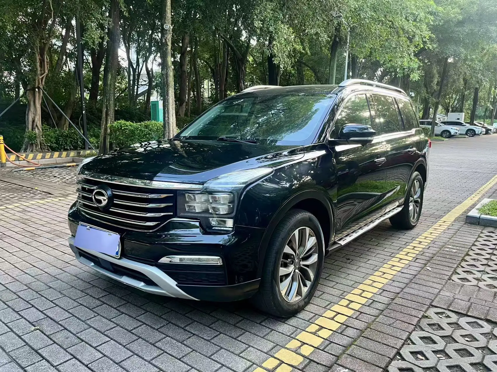 GAC Trumpchi GS8