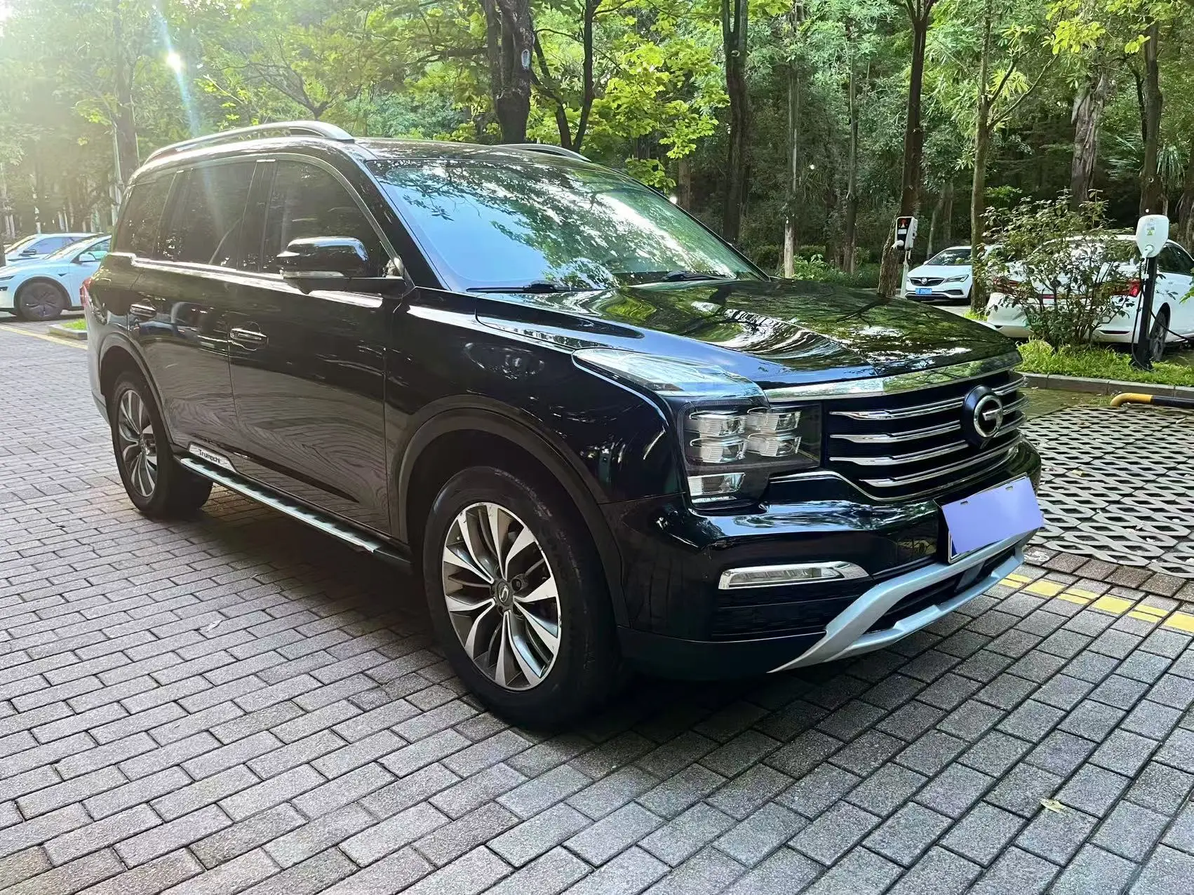 GAC Trumpchi GS8