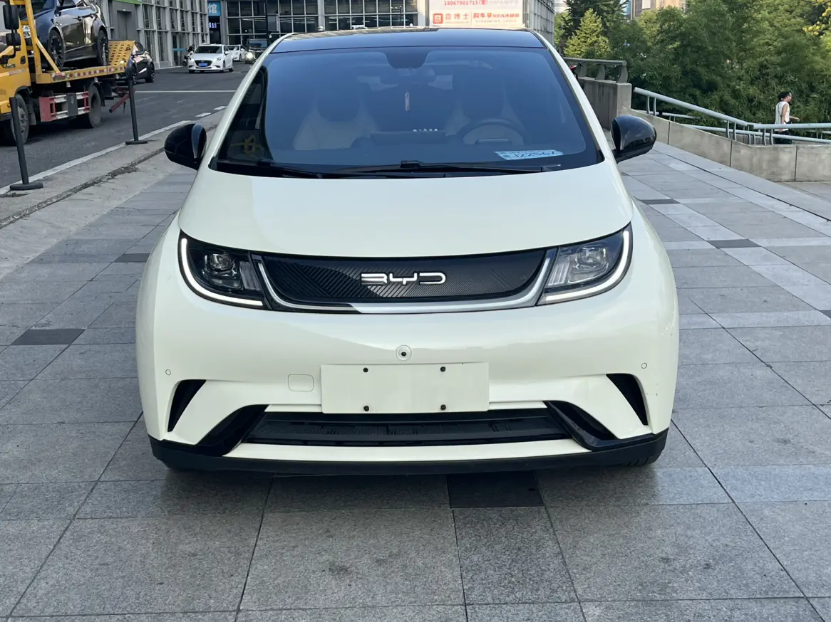 BYD Dolphin