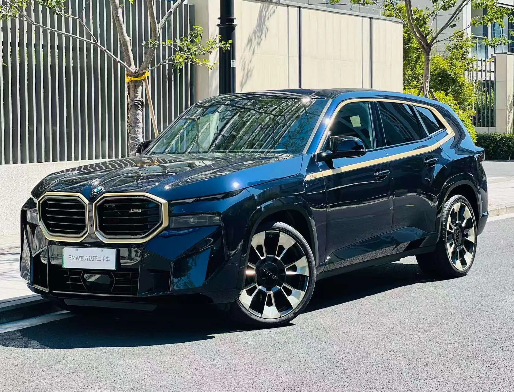 BMW XM  из Китая