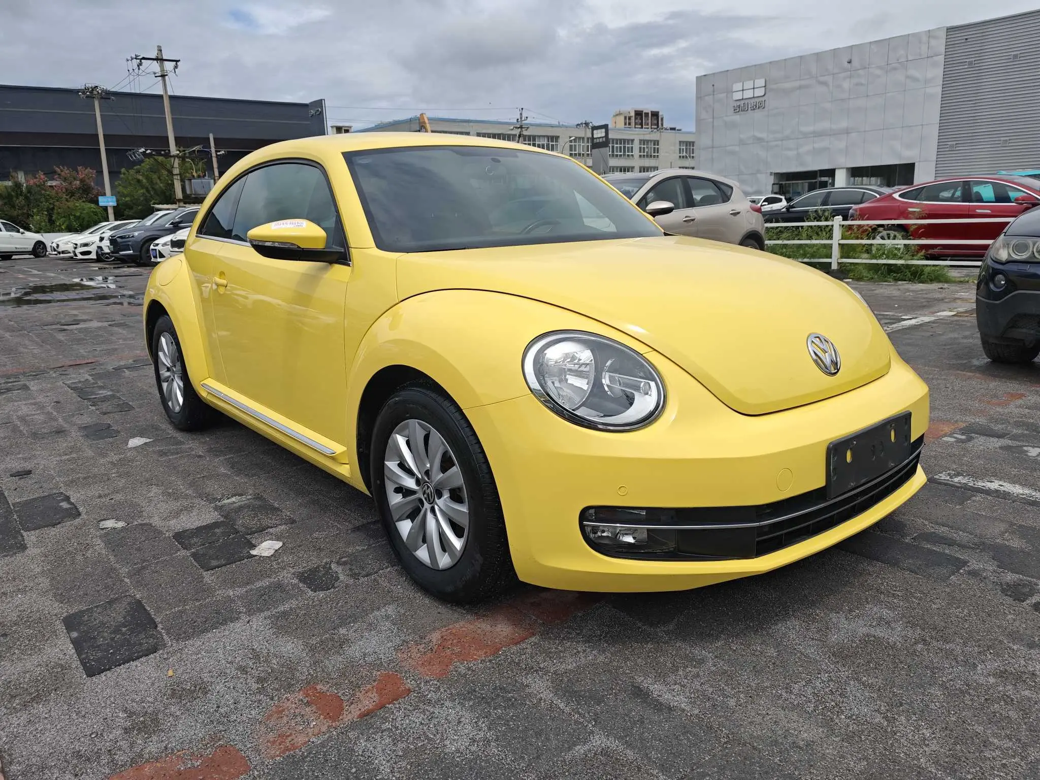 Volkswagen Beetle