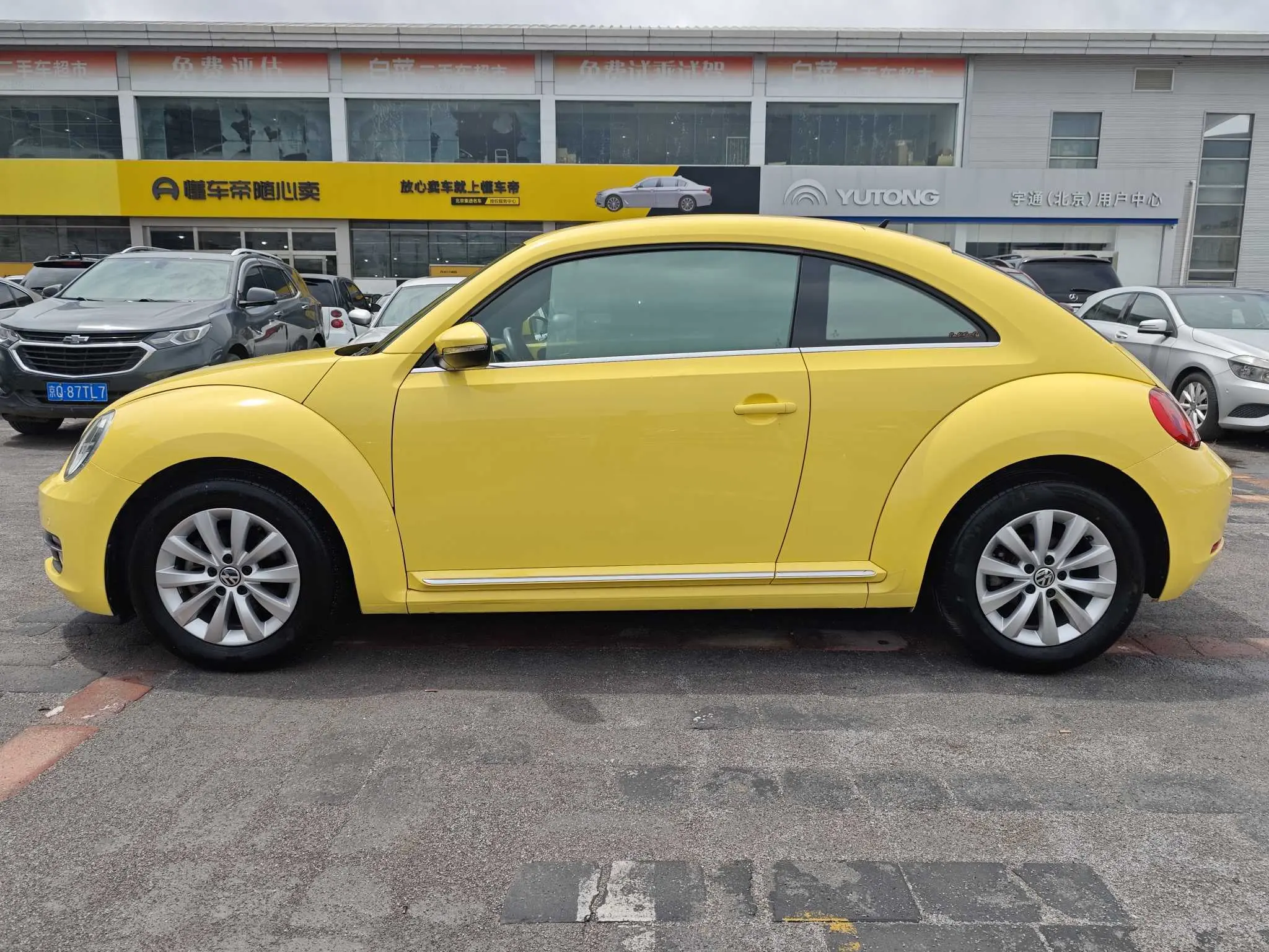 Volkswagen Beetle