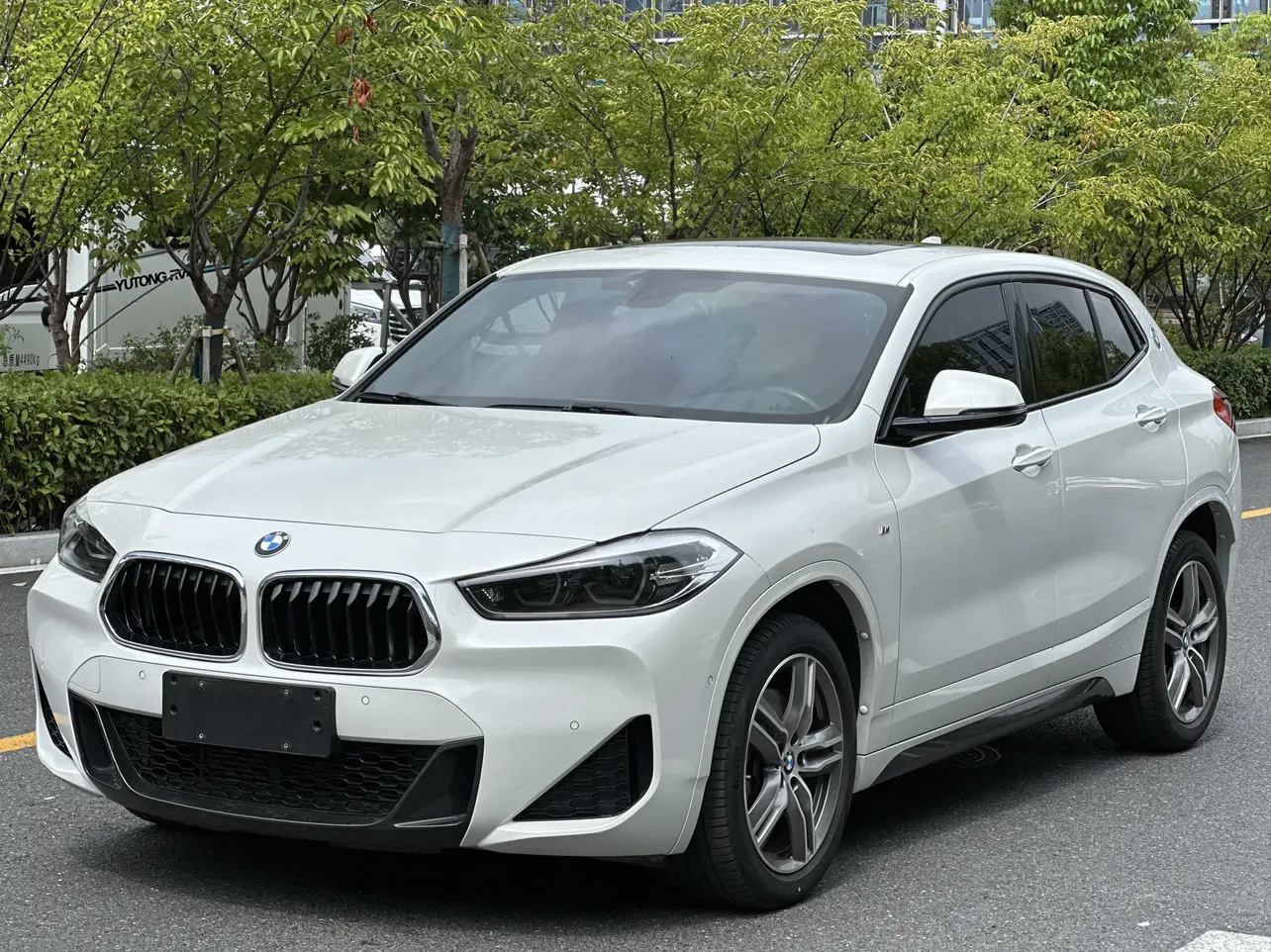 BMW X2