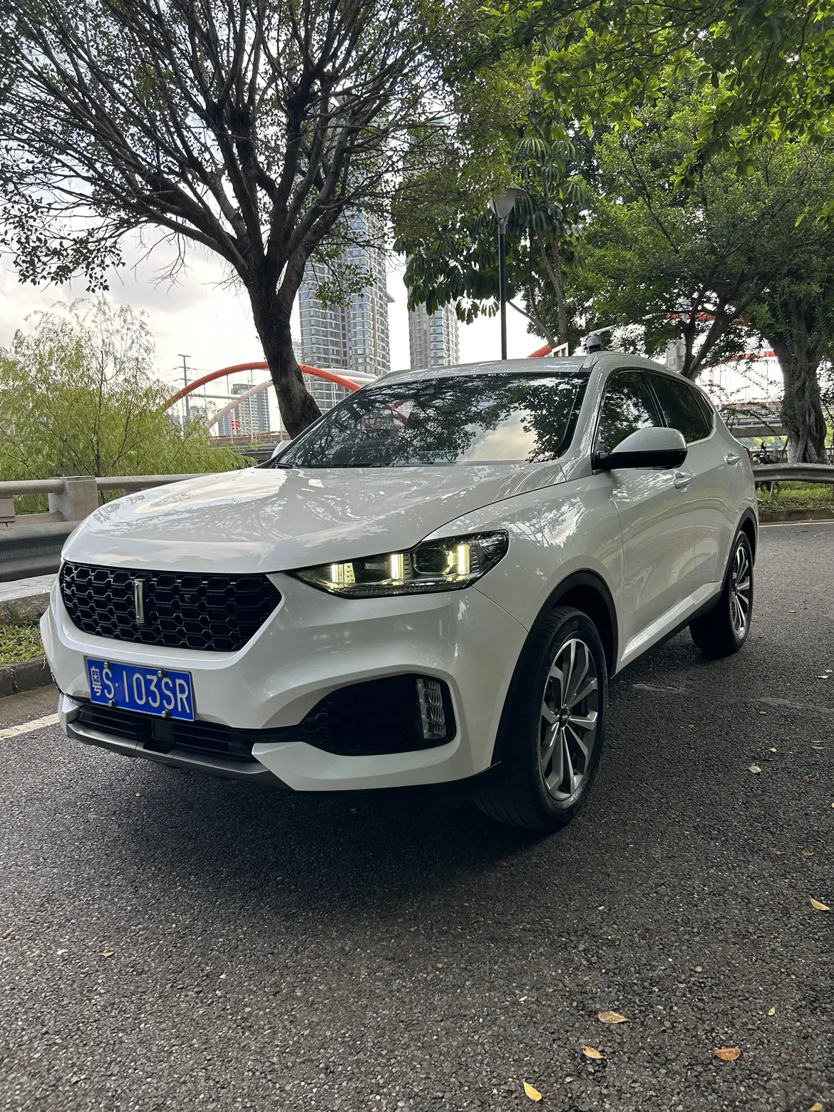 Wey Wei brand VV6