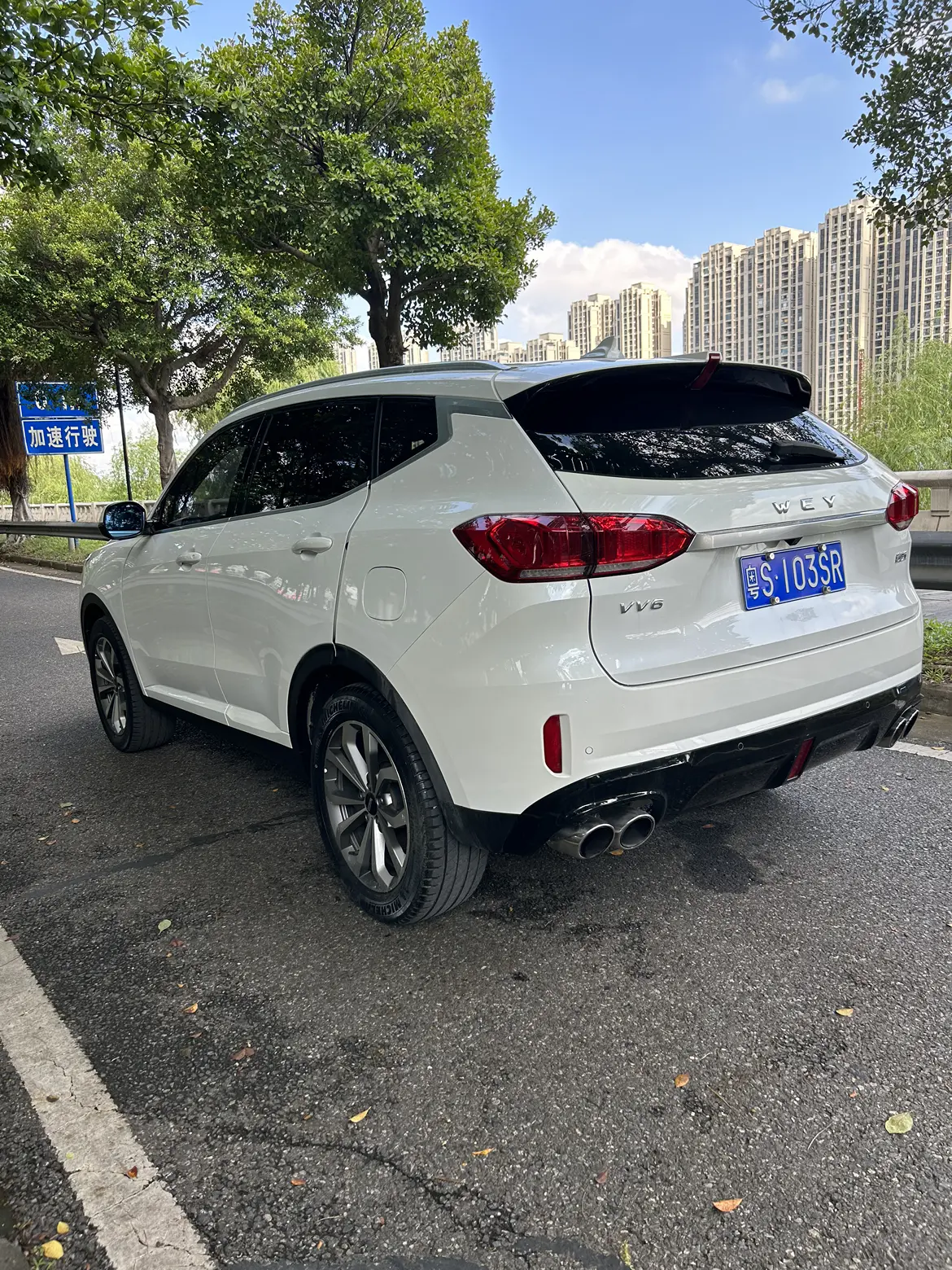 Wey Wei brand VV6