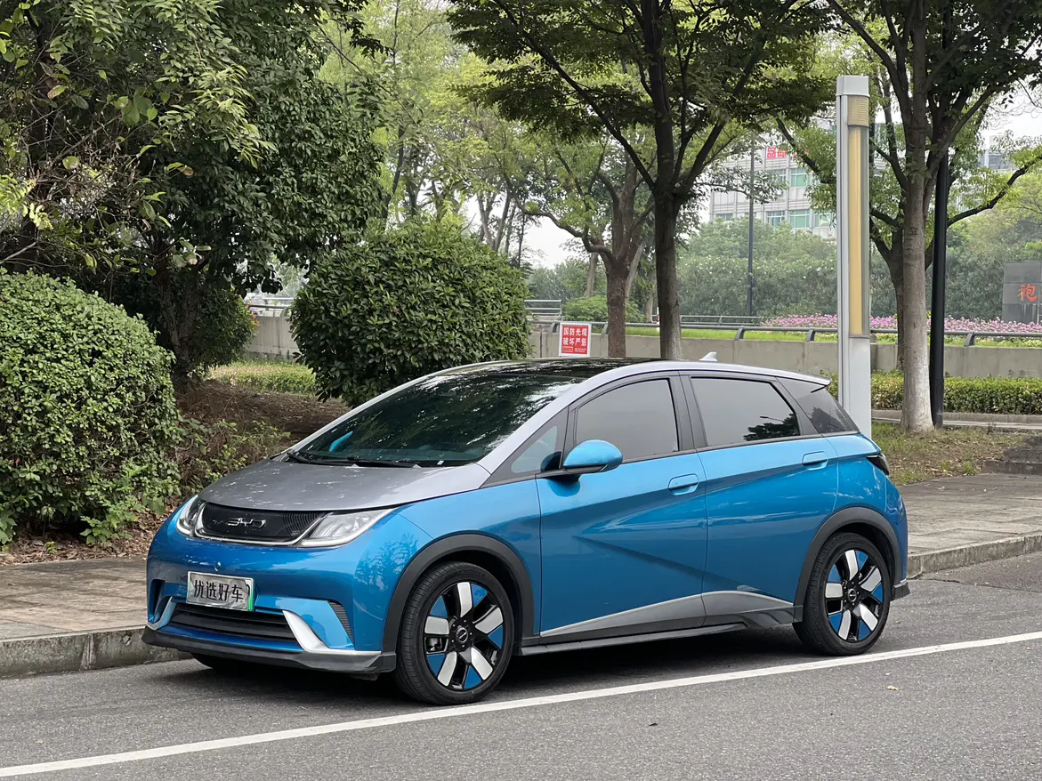 BYD Dolphin