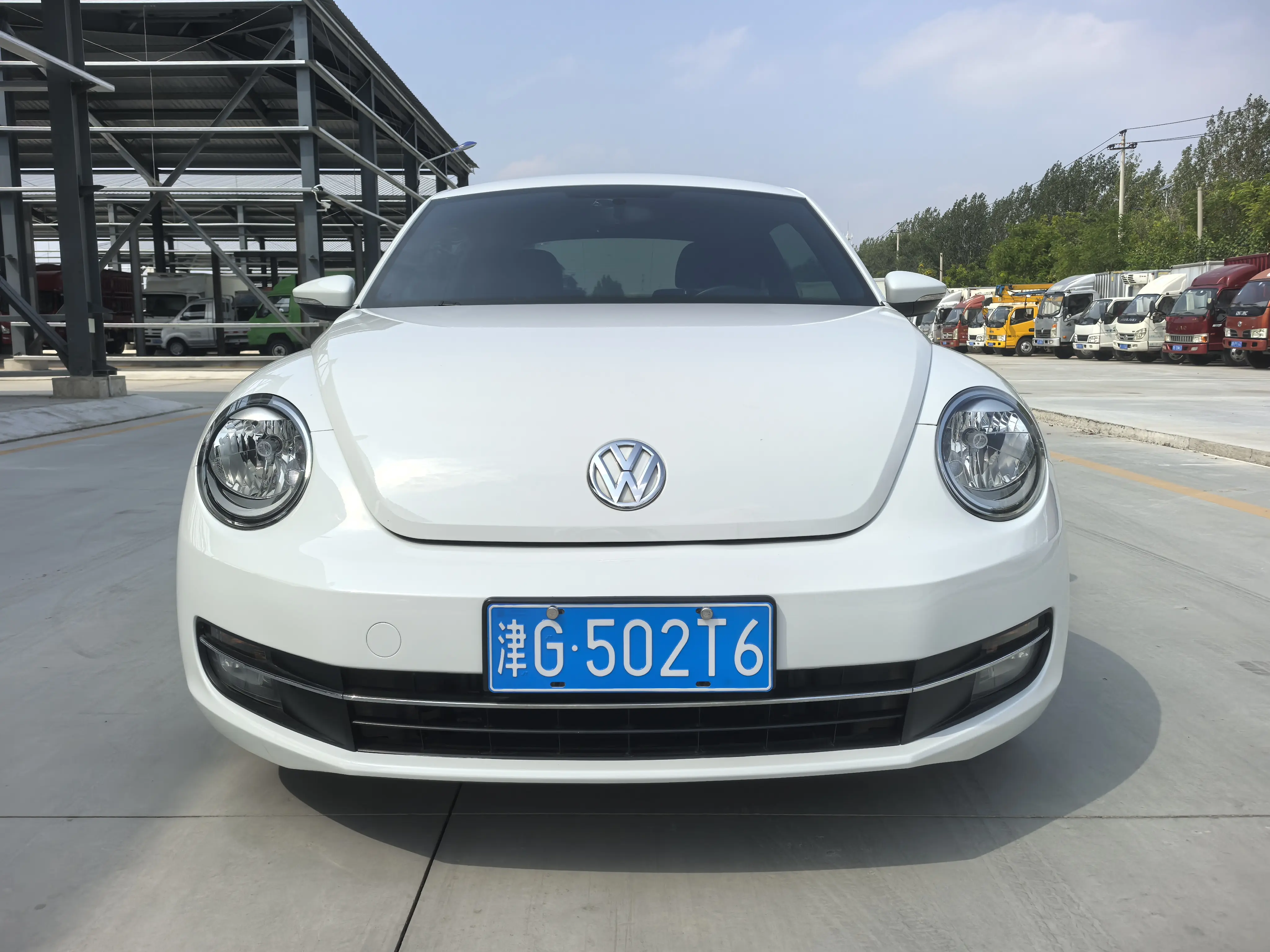 Volkswagen Beetle