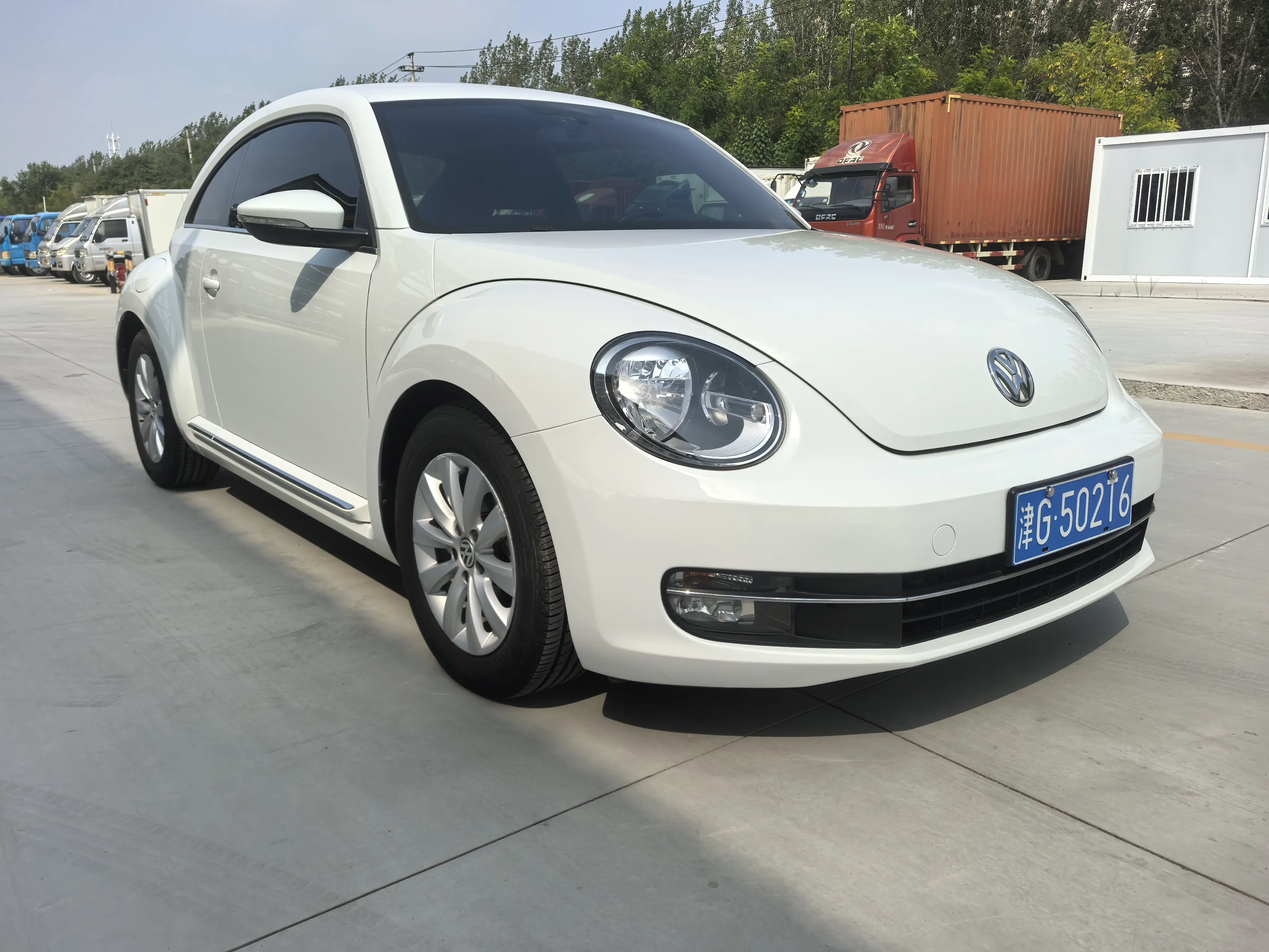 Volkswagen Beetle