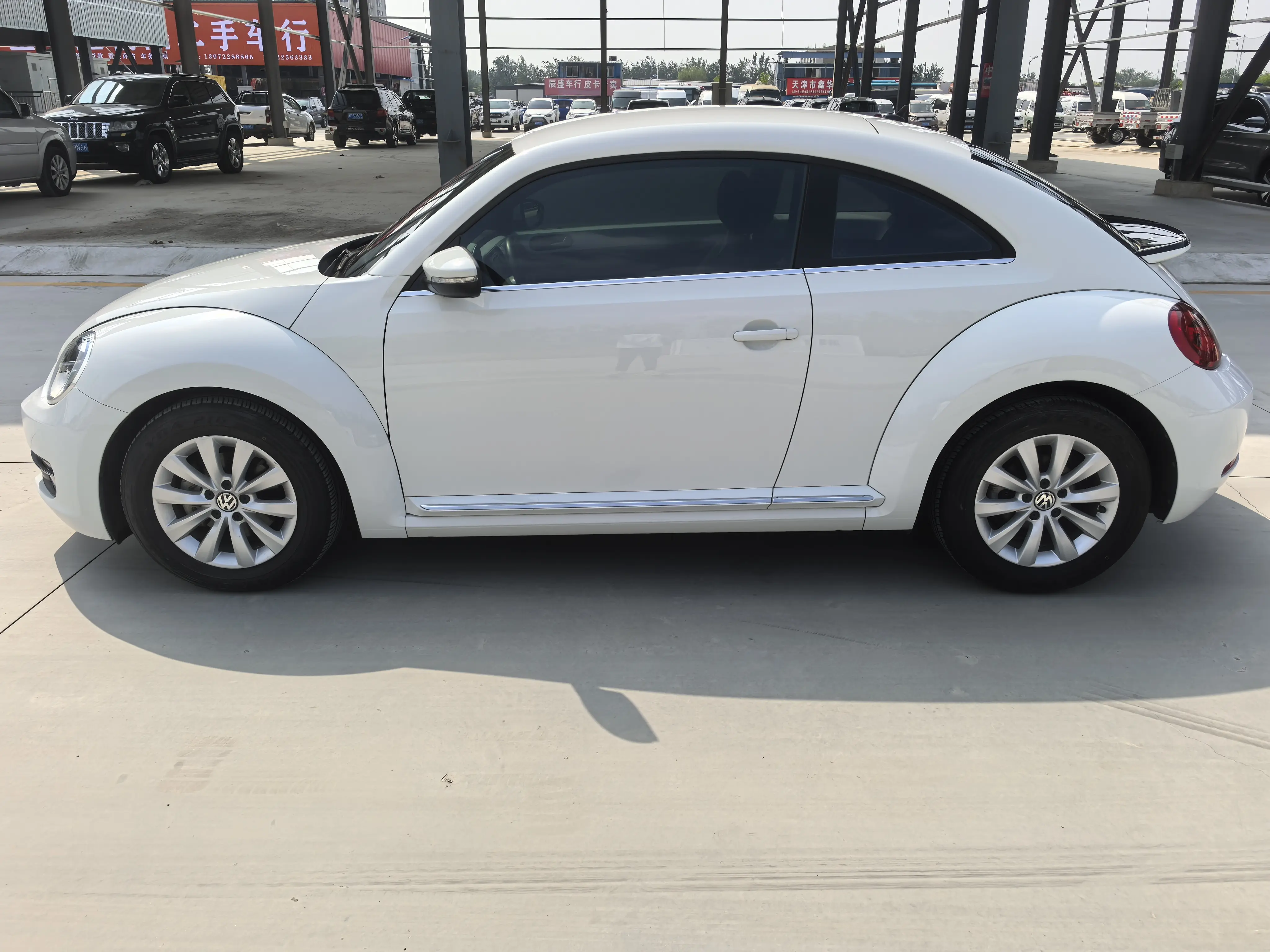 Volkswagen Beetle