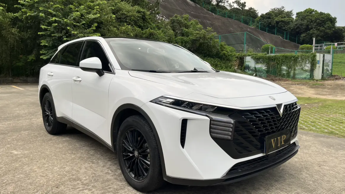 Kai Chen Venucia Big V