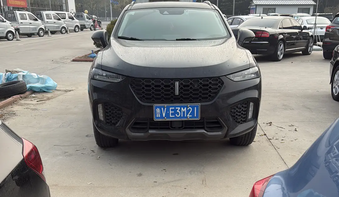 Wey Wei brand VV7