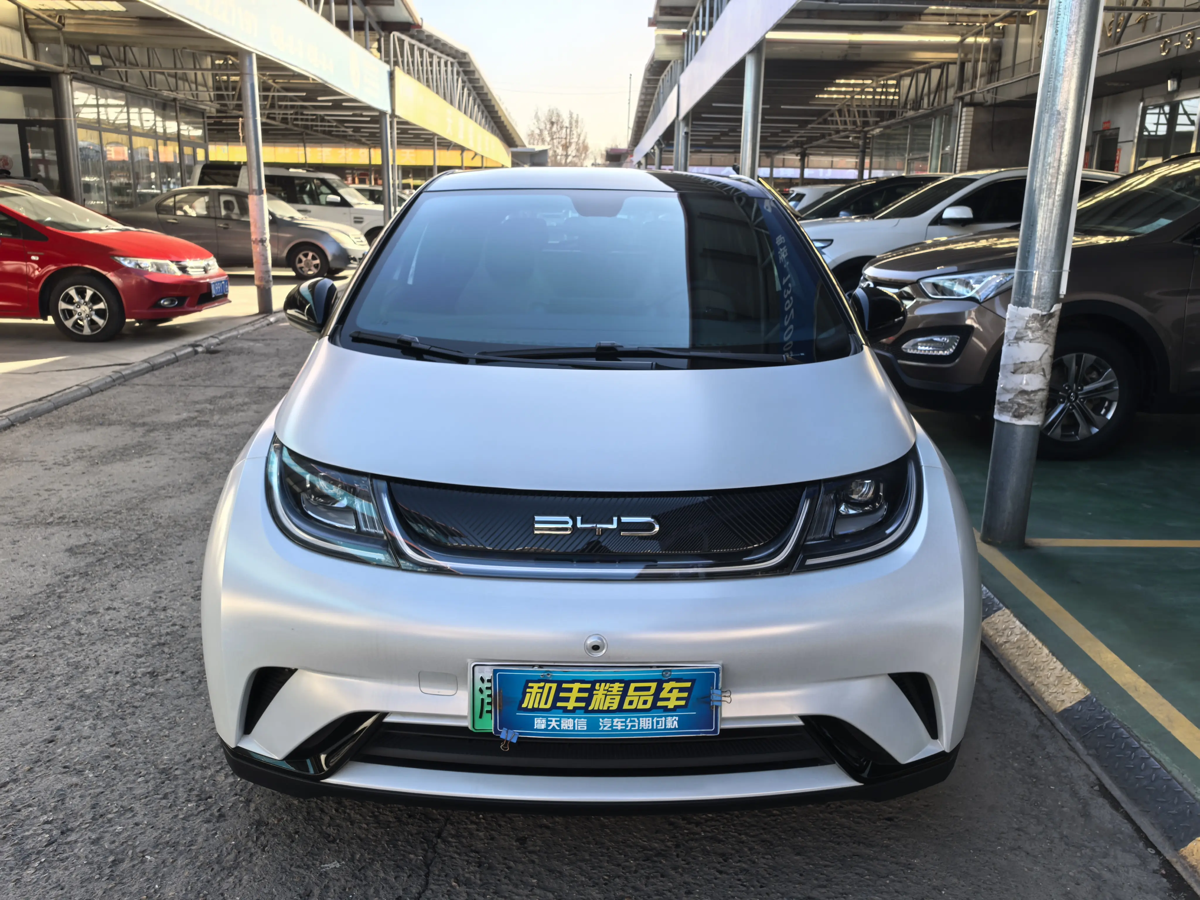 BYD Dolphin  из Китая