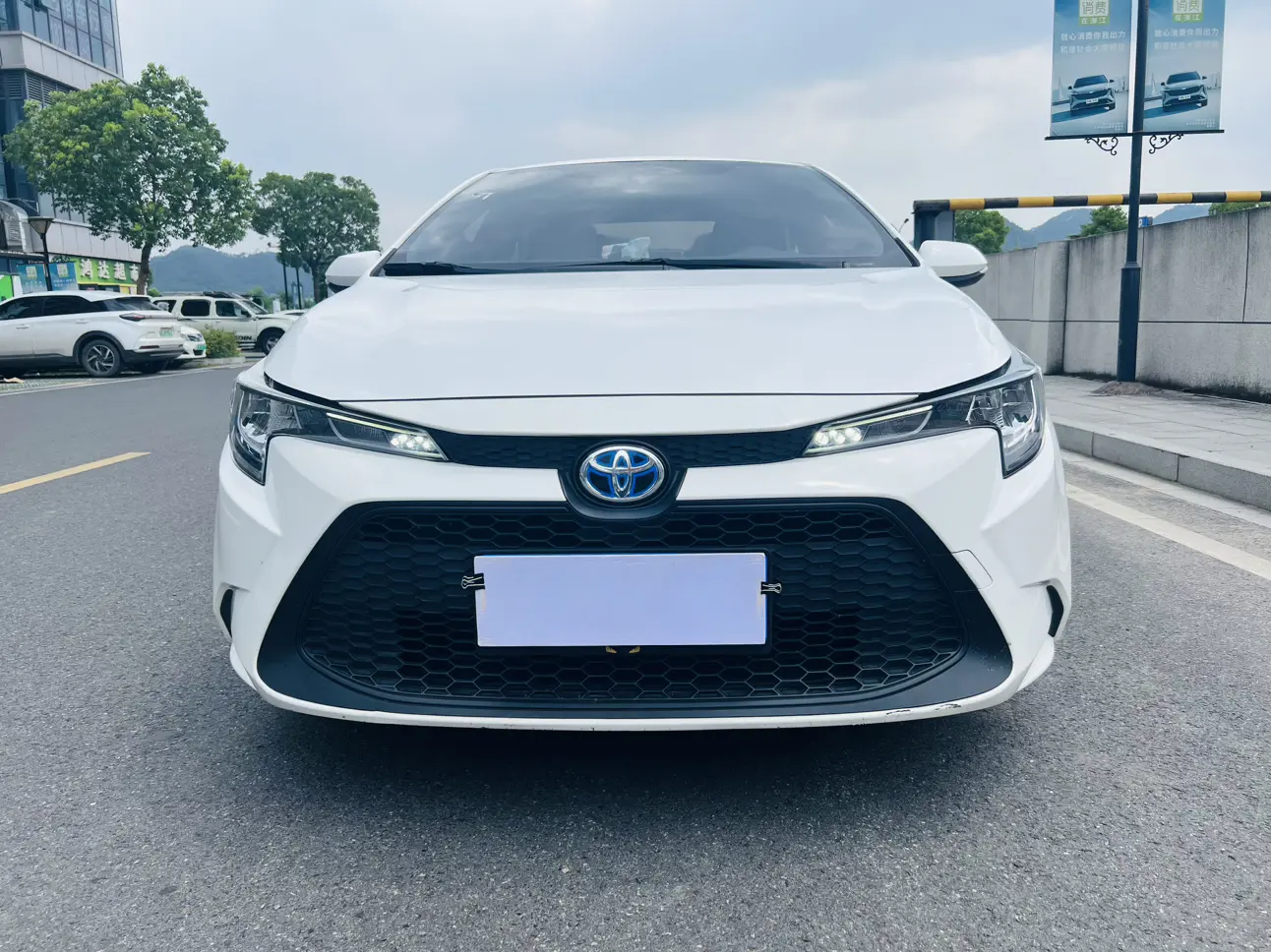 Toyota Levin (Lei Ling)  из Китая