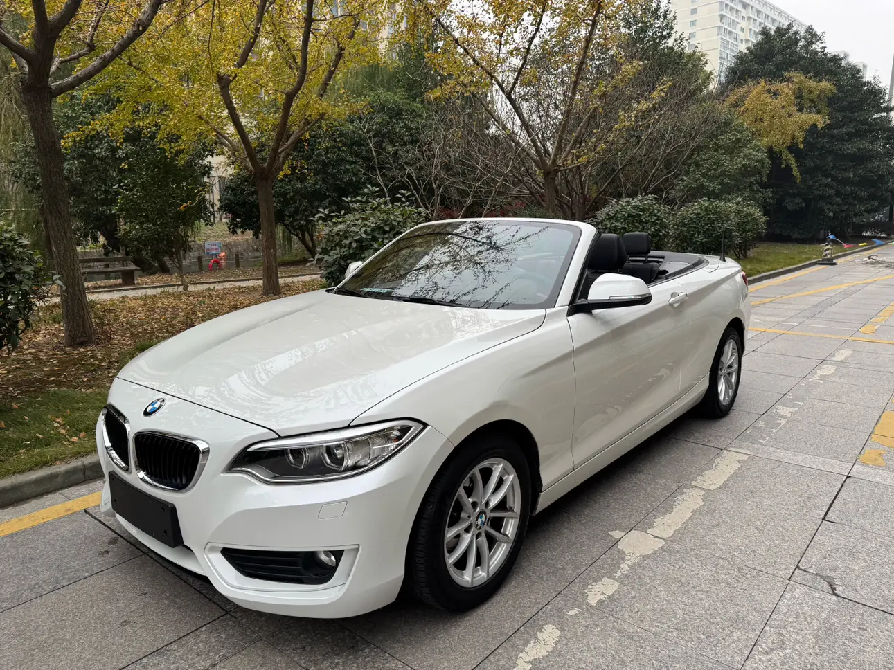 BMW 2 Series (Imported)  из Китая