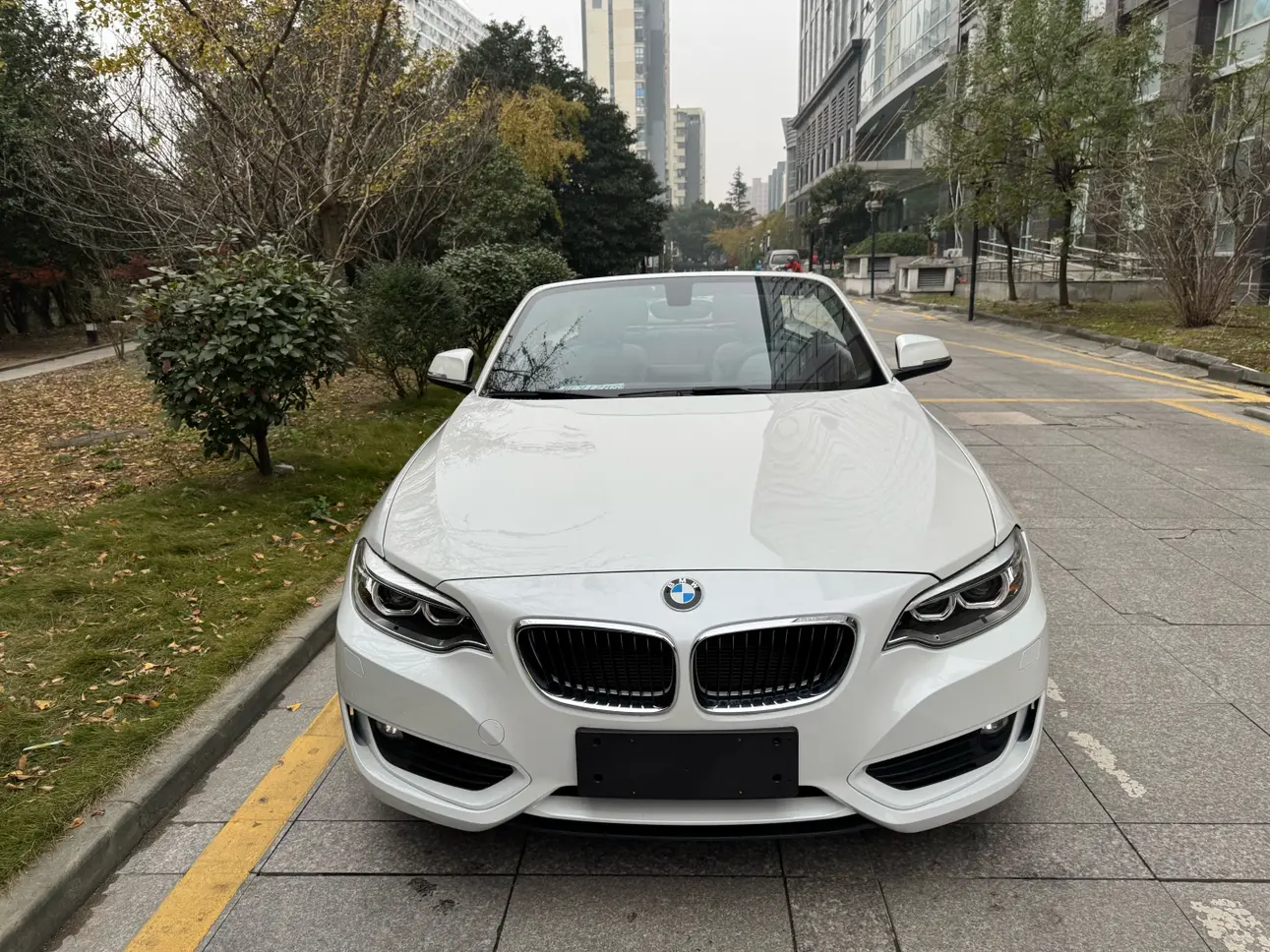 BMW 2 Series (Imported)  из Китая