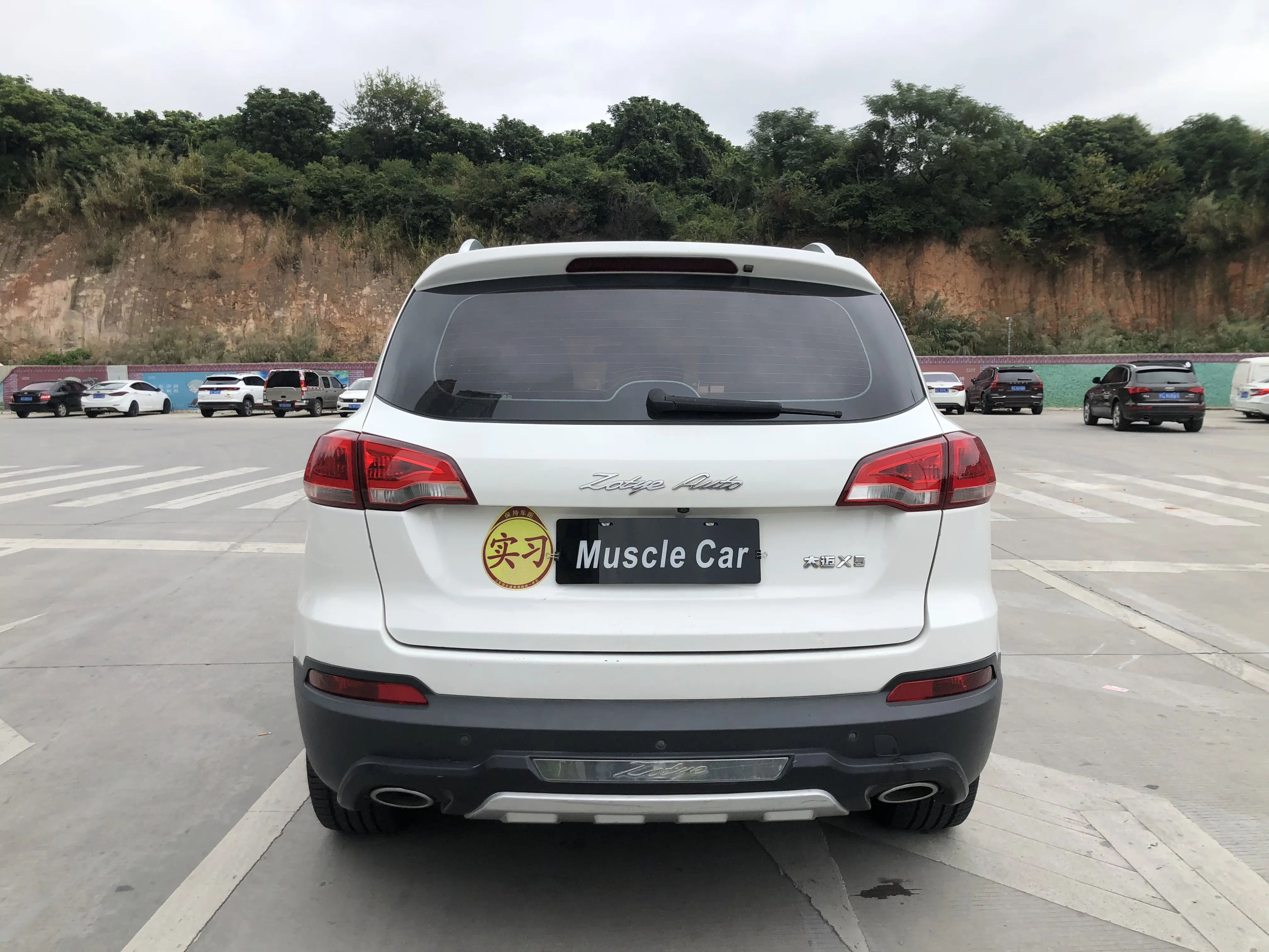 Zotye Damai X5