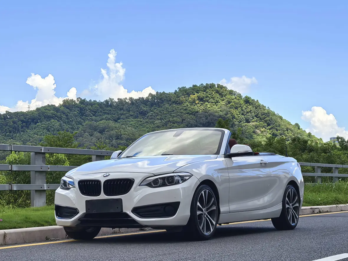 BMW 2 Series (Imported)