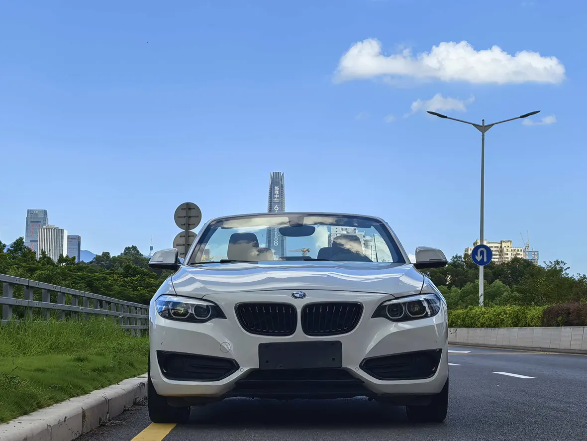 BMW 2 Series (Imported)