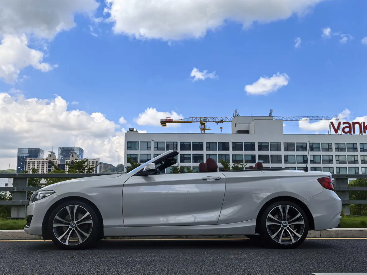 BMW 2 Series (Imported)